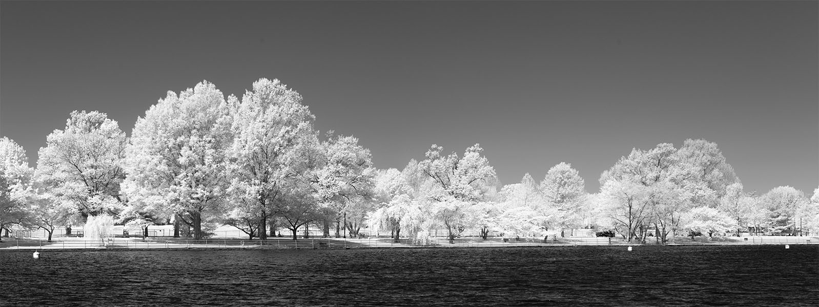 Water and Trees in Infrared
